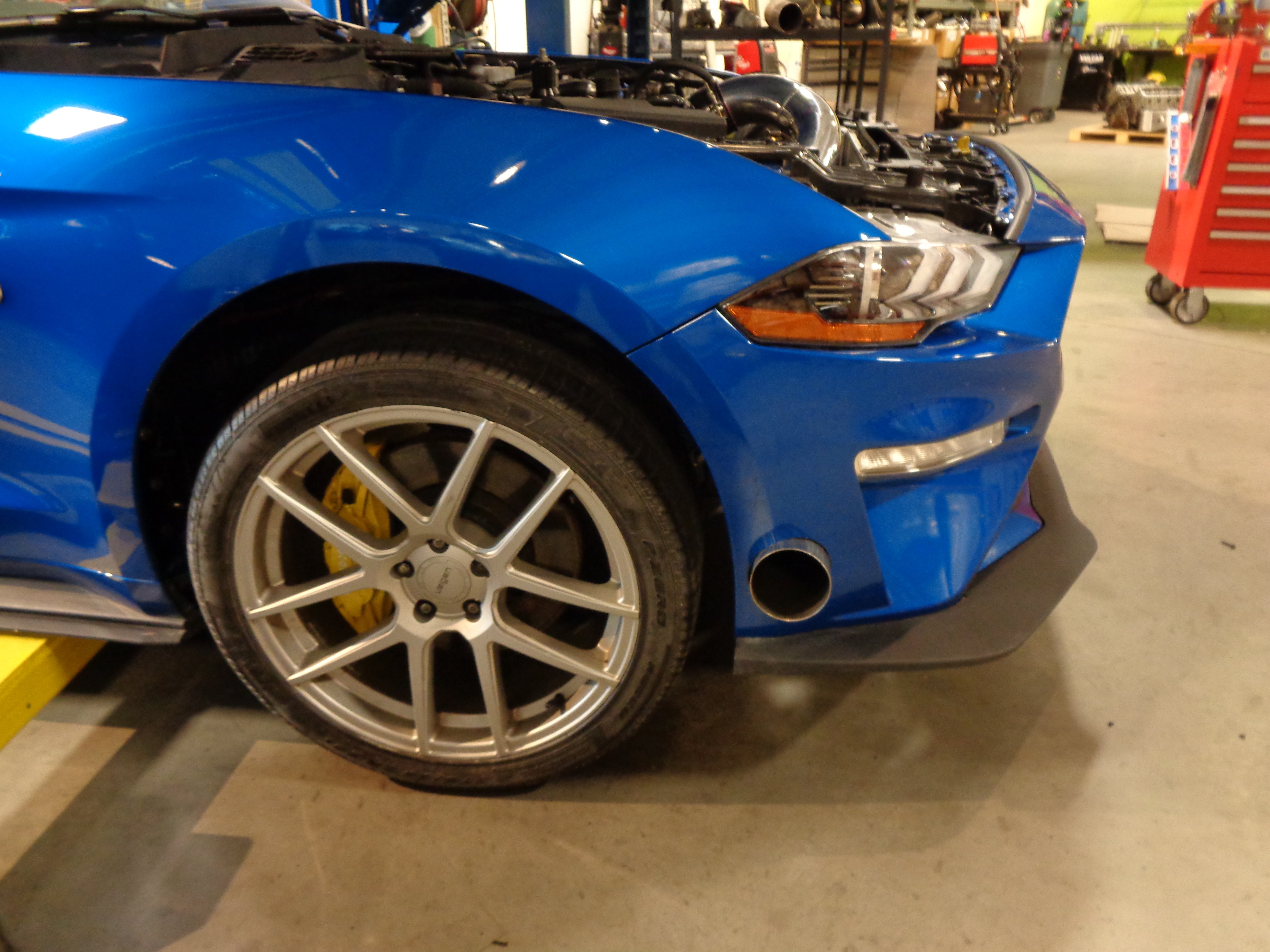 (2015-2023) Mustang GT 5.0 Coyote Single Bumper Exit Exhaust - SSTubes